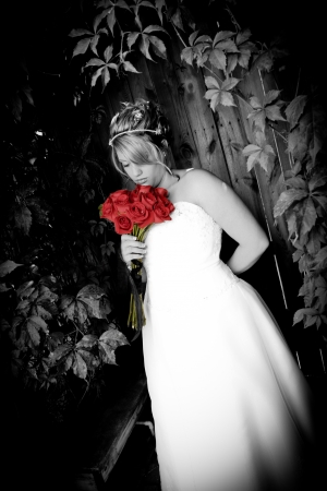 Wedding Photography