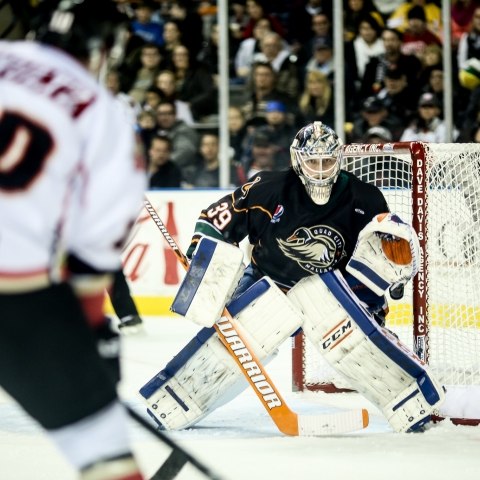 Sports Photography Sports Photography